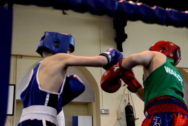 Boksowali na Ćwiczni (zdjęcia)