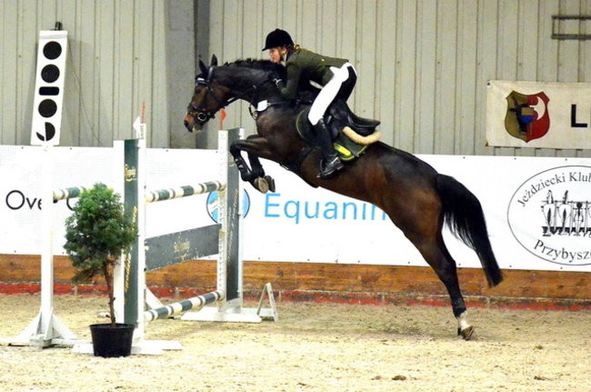 Trzy komplety medali (zdjęcia)