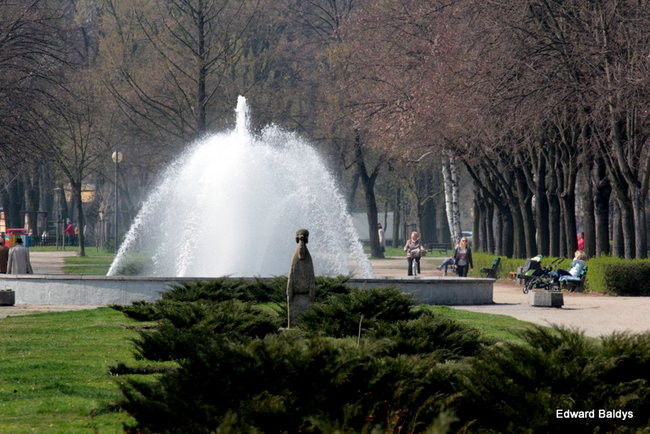 Wiosna eksplodowała! (zdjęcia)