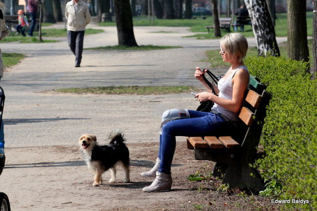 Wiosna eksplodowała! (zdjęcia)
