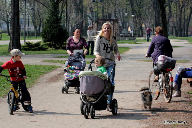 Wiosna eksplodowała! (zdjęcia)