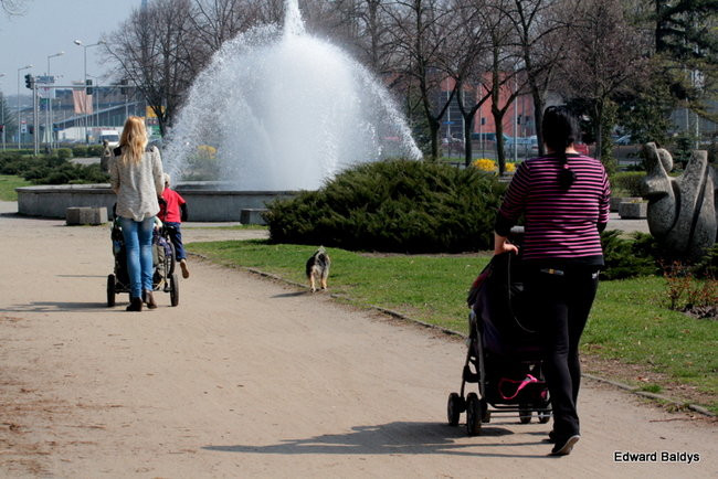 Wiosna eksplodowała! (zdjęcia)