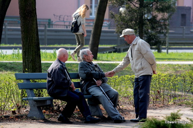 Wiosna eksplodowała! (zdjęcia)