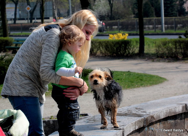 Wiosna eksplodowała! (zdjęcia)