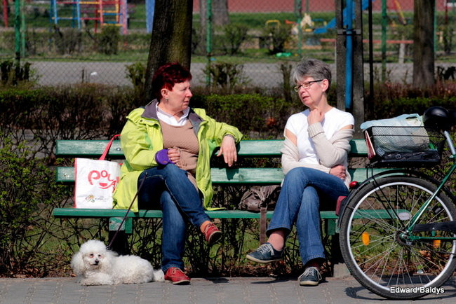 Wiosna eksplodowała! (zdjęcia)