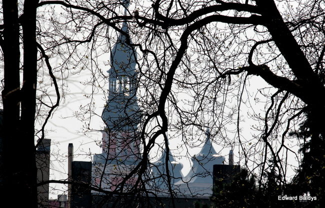 Wiosna eksplodowała! (zdjęcia)