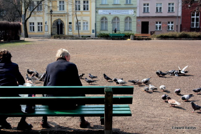 Wiosna eksplodowała! (zdjęcia)