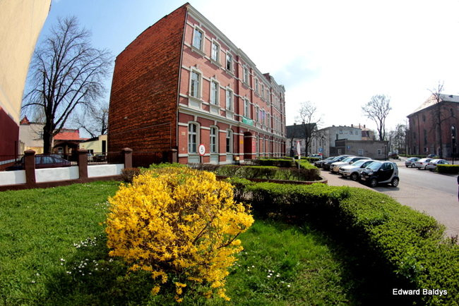 Wiosna eksplodowała! (zdjęcia)