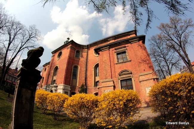 Wiosna eksplodowała! (zdjęcia)