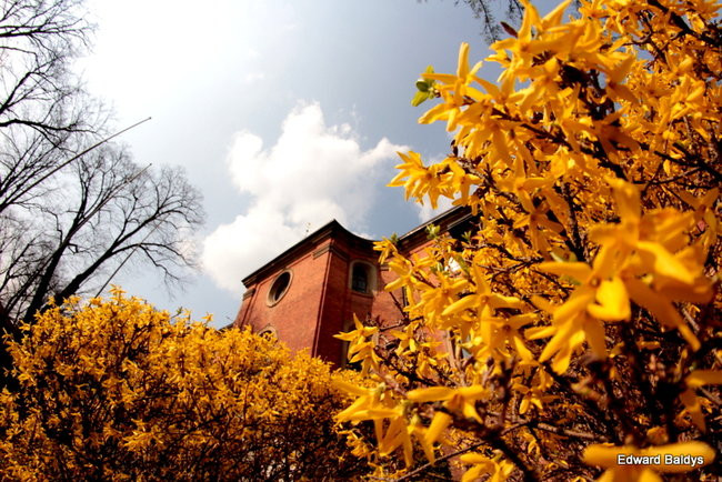 Wiosna eksplodowała! (zdjęcia)