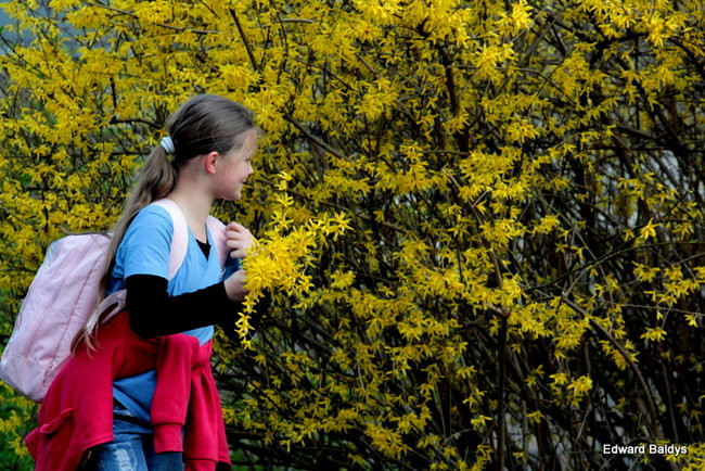 Wiosna eksplodowała! (zdjęcia)