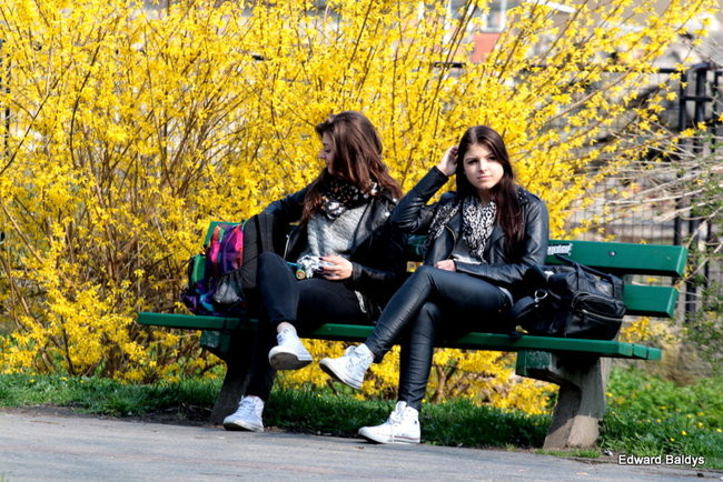 Wiosna eksplodowała! (zdjęcia)