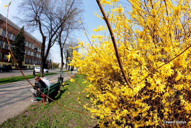 Wiosna eksplodowała! (zdjęcia)