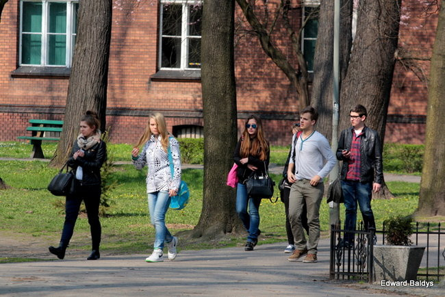 Wiosna eksplodowała! (zdjęcia)