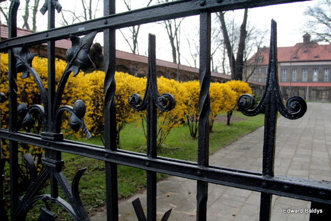 Wiosna eksplodowała! (zdjęcia)