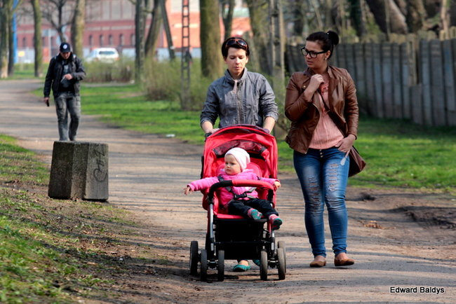 Wiosna eksplodowała! (zdjęcia)