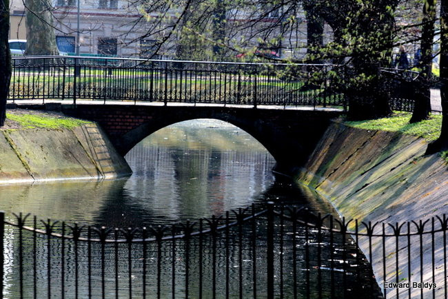 Wiosna eksplodowała! (zdjęcia)