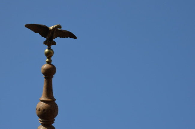 Rekord uczestnictwa w Bukówcu (zdjęcia)