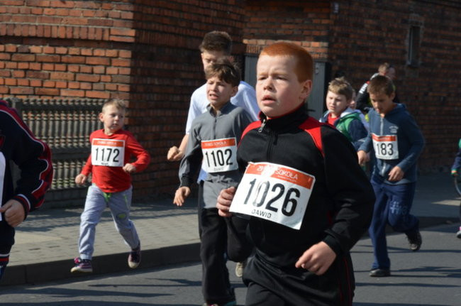 Rekord uczestnictwa w Bukówcu (zdjęcia)