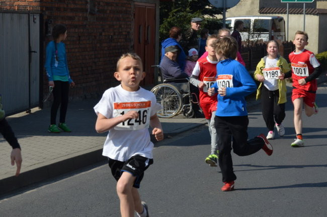 Rekord uczestnictwa w Bukówcu (zdjęcia)