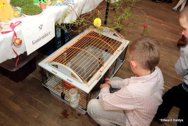  Wielkanocne tradycje w Lipnie (zdjęcia)