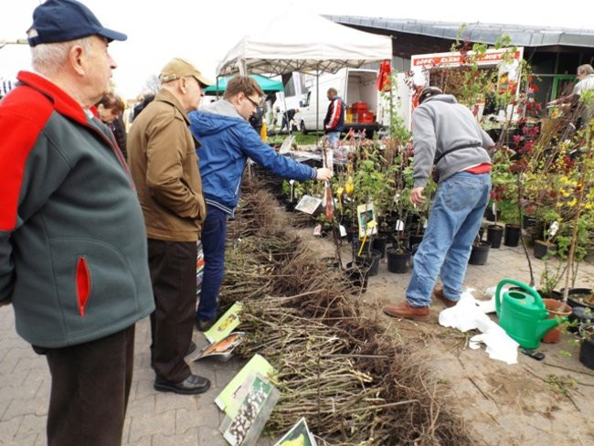 Wszystko dla domu i ogrodu (zdjęcia)