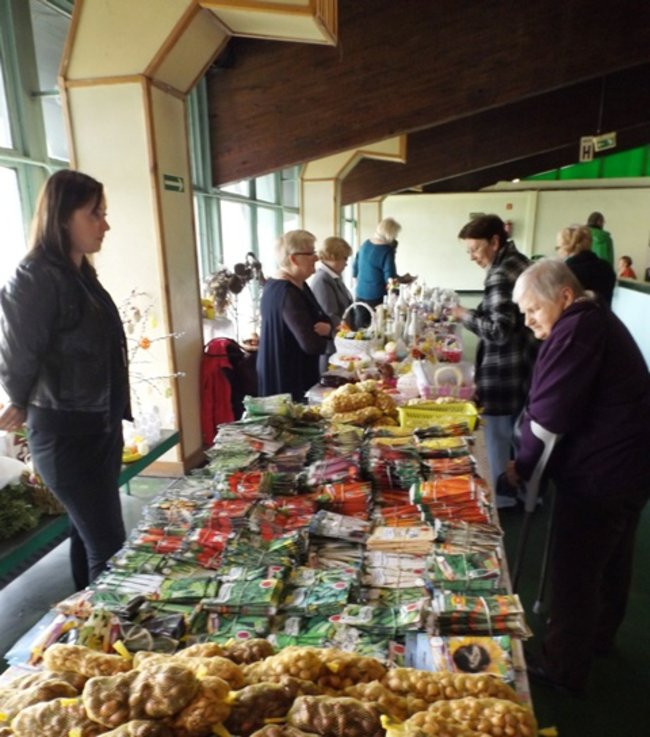 Wszystko dla domu i ogrodu (zdjęcia)