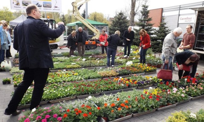 Wszystko dla domu i ogrodu (zdjęcia)