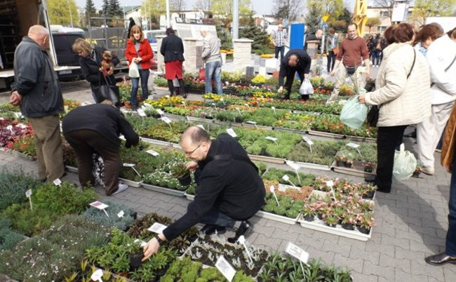 Wszystko dla domu i ogrodu (zdjęcia)