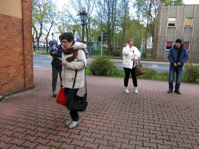 Kaczki-uciekinierki przewędrowały pół kilometra (zdjęcia i wideo)