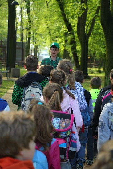 O szopie i innych zwierzętach (zdjęcia)