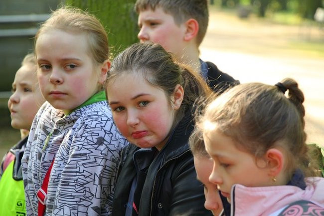 O szopie i innych zwierzętach (zdjęcia)