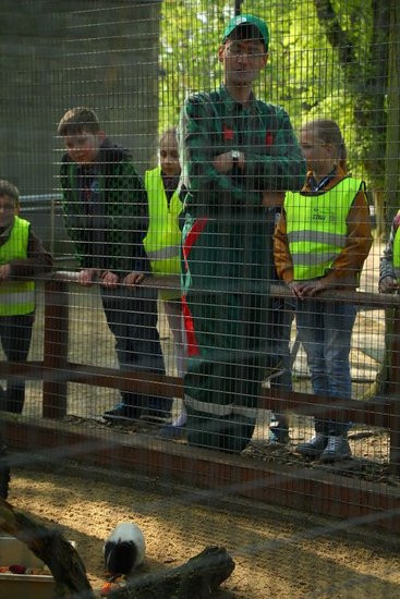 O szopie i innych zwierzętach (zdjęcia)