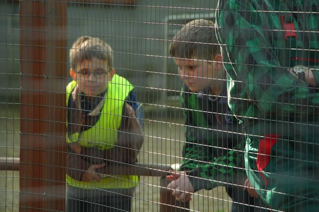 O szopie i innych zwierzętach (zdjęcia)