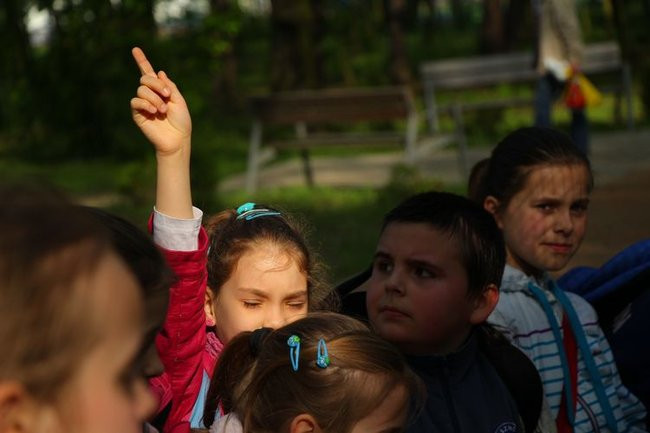 O szopie i innych zwierzętach (zdjęcia)