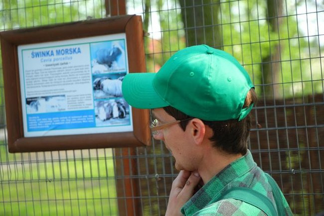 O szopie i innych zwierzętach (zdjęcia)