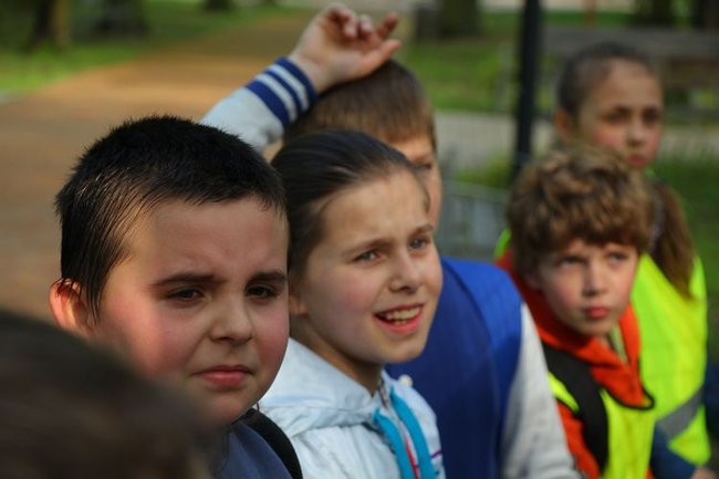 O szopie i innych zwierzętach (zdjęcia)