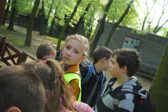 O szopie i innych zwierzętach (zdjęcia)