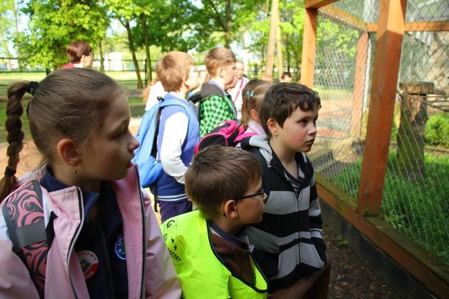 O szopie i innych zwierzętach (zdjęcia)