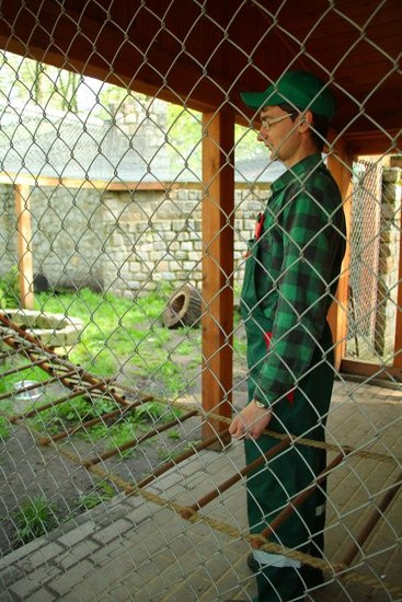 O szopie i innych zwierzętach (zdjęcia)