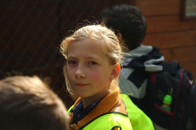 O szopie i innych zwierzętach (zdjęcia)