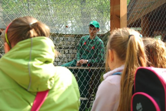 O szopie i innych zwierzętach (zdjęcia)