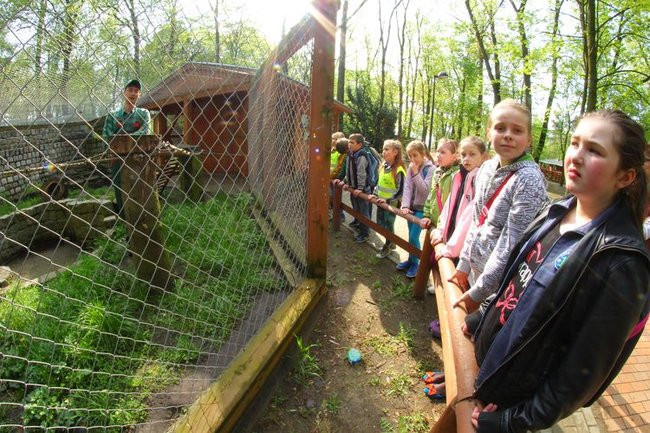 O szopie i innych zwierzętach (zdjęcia)