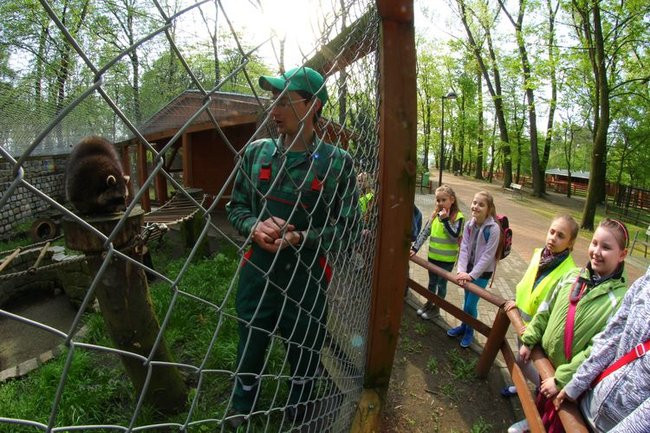 O szopie i innych zwierzętach (zdjęcia)