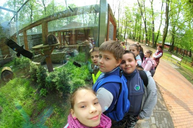 O szopie i innych zwierzętach (zdjęcia)