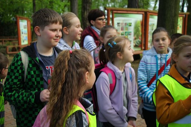 O szopie i innych zwierzętach (zdjęcia)