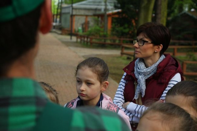 O szopie i innych zwierzętach (zdjęcia)