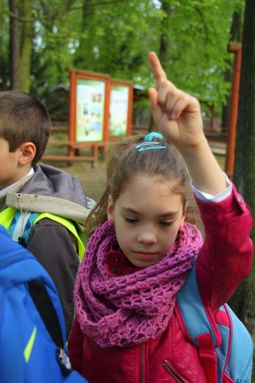 O szopie i innych zwierzętach (zdjęcia)