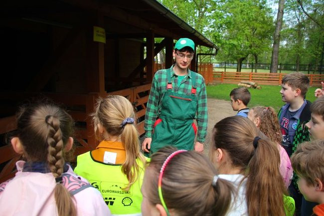 O szopie i innych zwierzętach (zdjęcia)