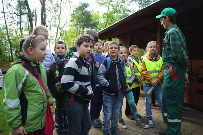 O szopie i innych zwierzętach (zdjęcia)